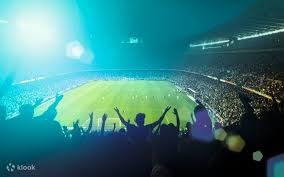 详解棒球规则中的“观众干预”判定当球迷触碰界外可捕球